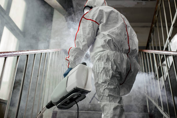 Best Airborne Mold Testing  in Broadview, IL